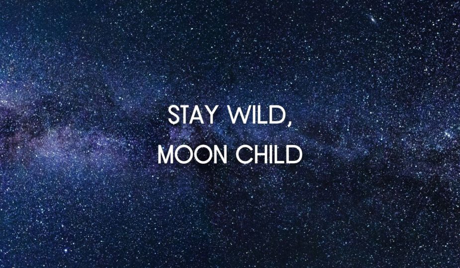 Wat is de betekenis van 'Stay Wild, Moon Child?