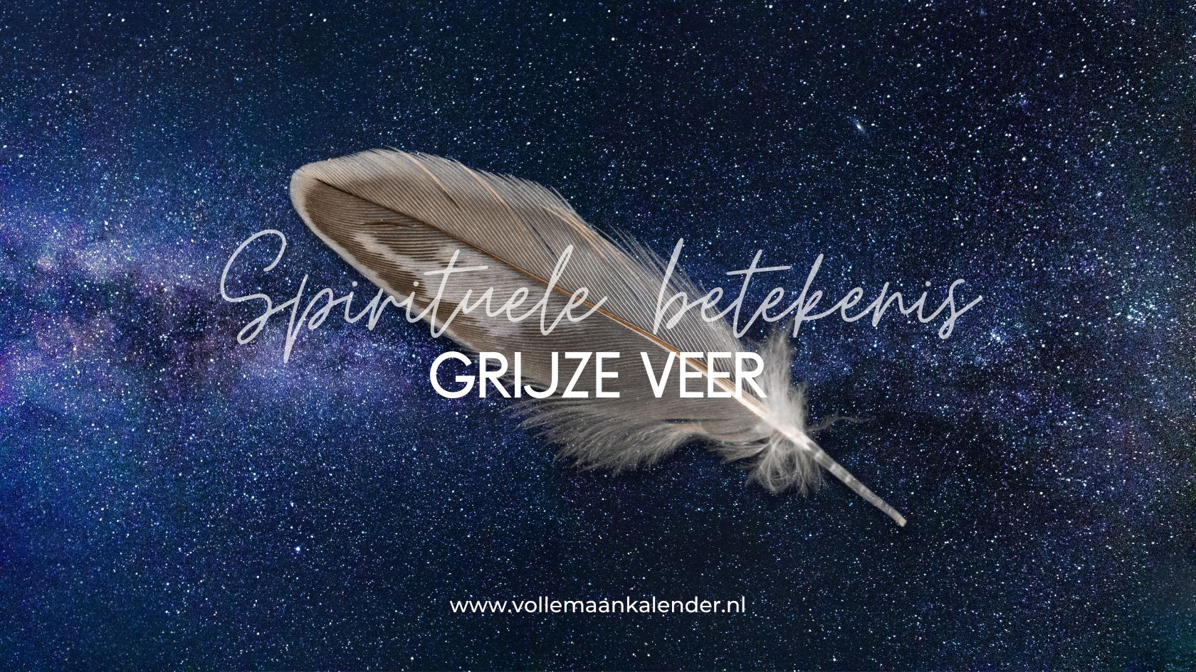 Dit is de spirituele betekenis van een grijze veer - VolleMaanKalender.nl