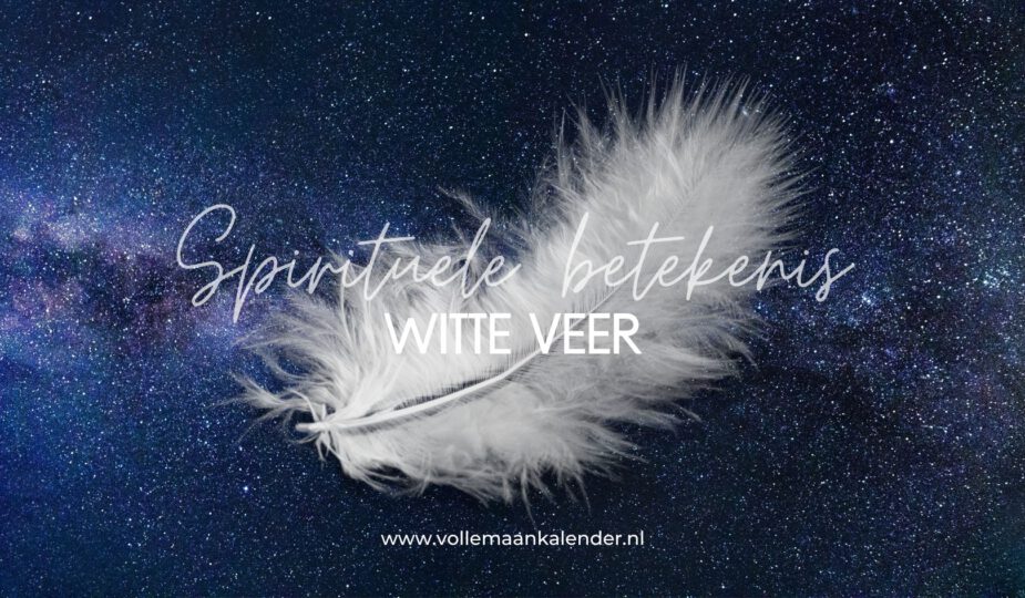 Dit is de spirituele betekenis van een witte veer