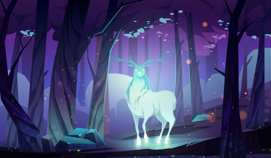 Wat is jouw Spirit Animal? 5 Tips om jouw Spirit Animal te vinden!