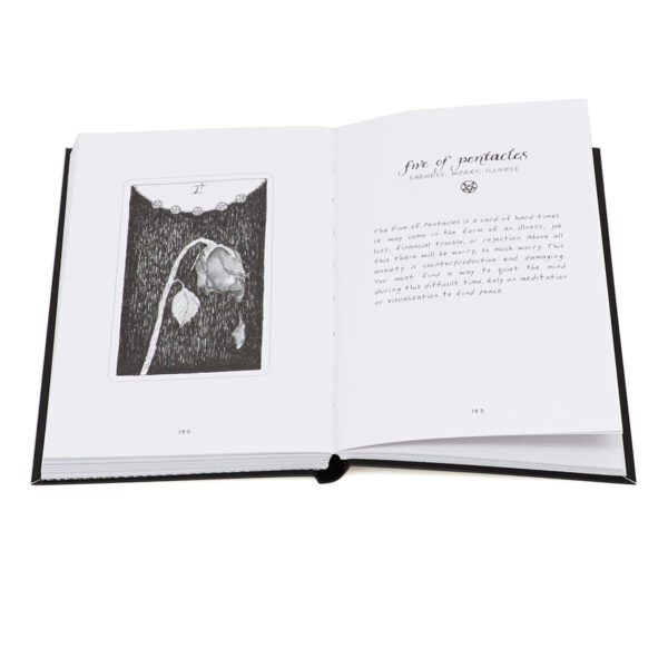 The Wild Unknown Tarot Deck gids