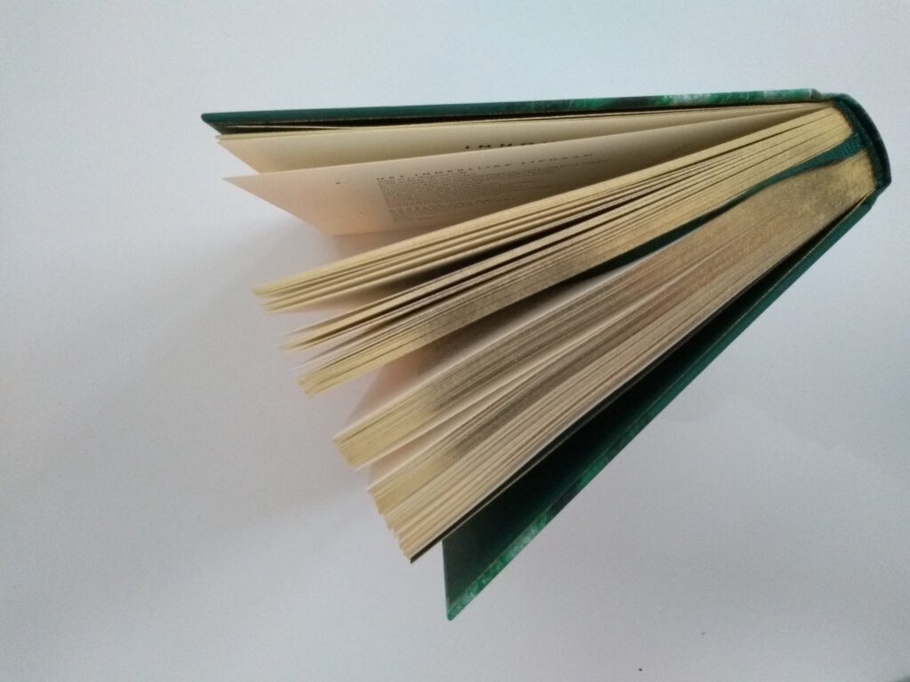 Waarom je De Kracht van het Nu juist nú moet lezen - VolleMaanKalender.nl