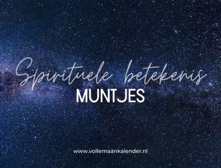 Muntje gevonden? Dit is de spirituele betekenis