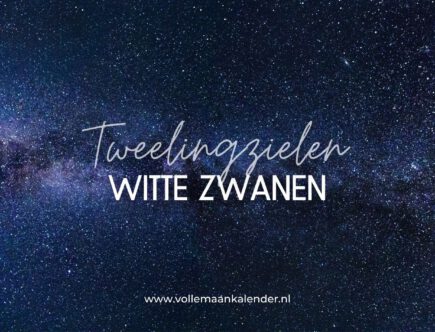 Witte zwanen en tweelingzielen: wat is de betekenis?