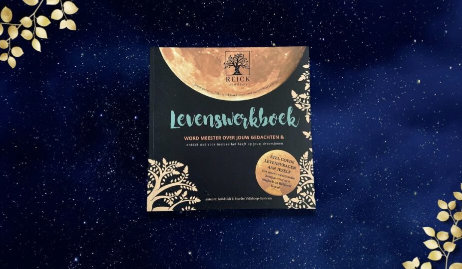 Reick Academy levenswerkboek review