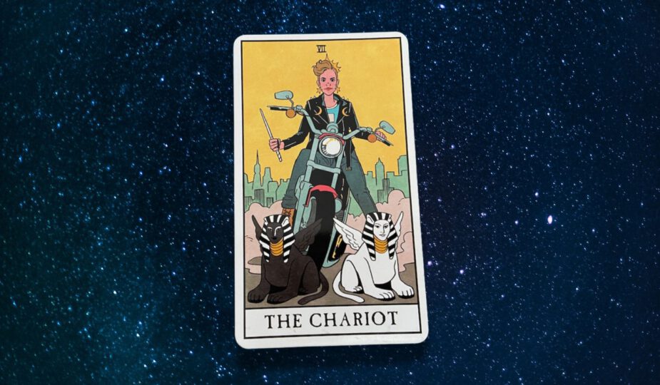Heb je de Zegewagen (The Chariot) tarotkaart getrokken in je lezing? Je leest hier over de betekenis van de Zegewagen!