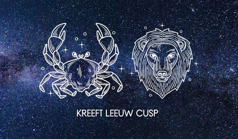 Kreeft Leeuw Cusp