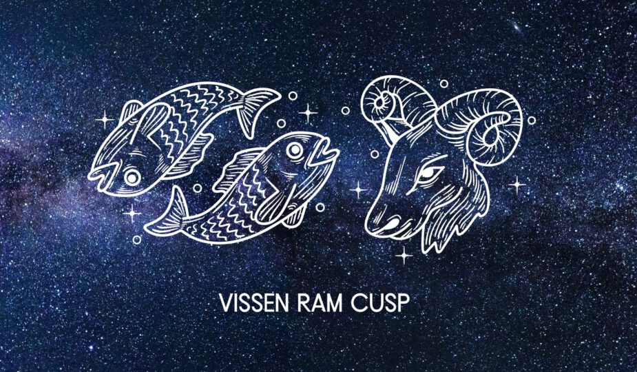 Vissen Ram Cusp