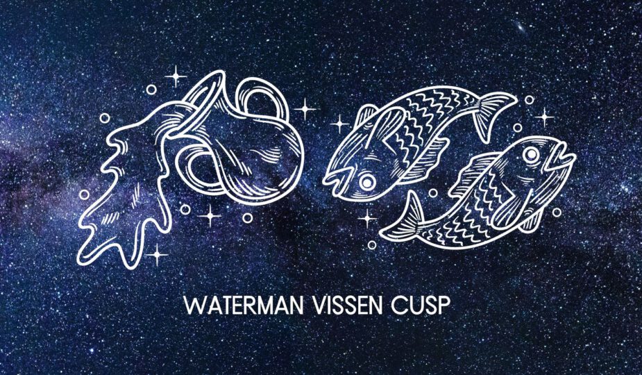 Waterman Vissen cusp