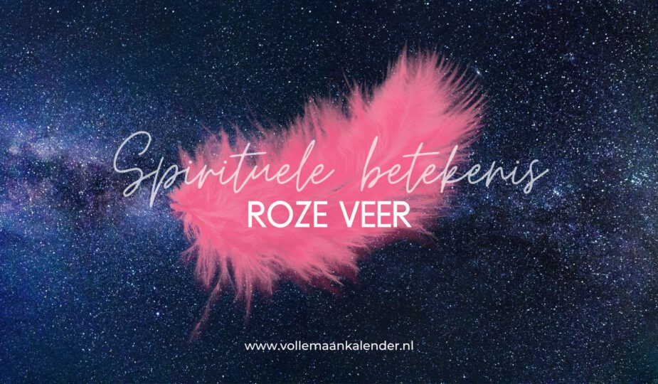 Spirituele betekenis roze veer