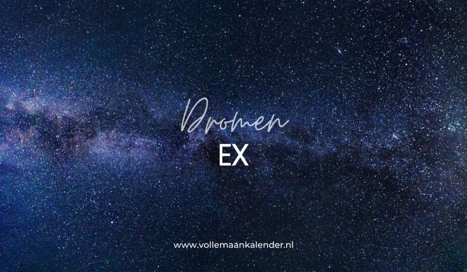 Ex Dromen