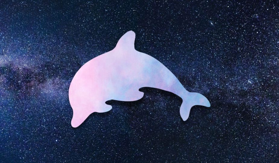 Spirituele betekenis dolfijn