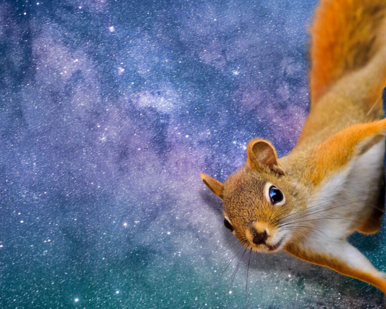 Schleich