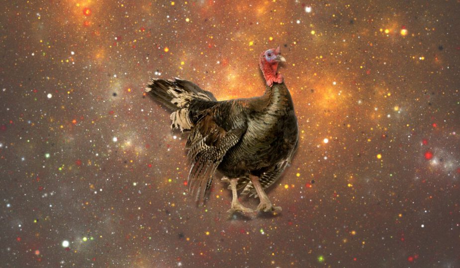 Spirituele betekenis kalkoen