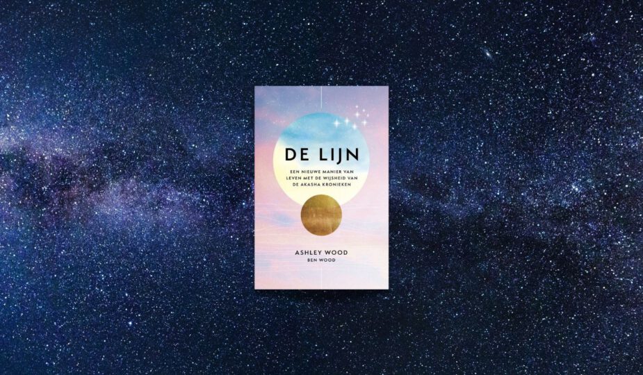 Review: De lijn