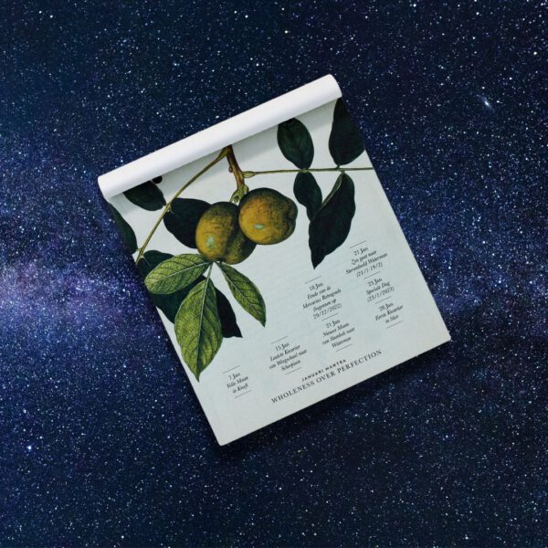 Moon Calendar 2023 - Moonsisters Scheurkalender