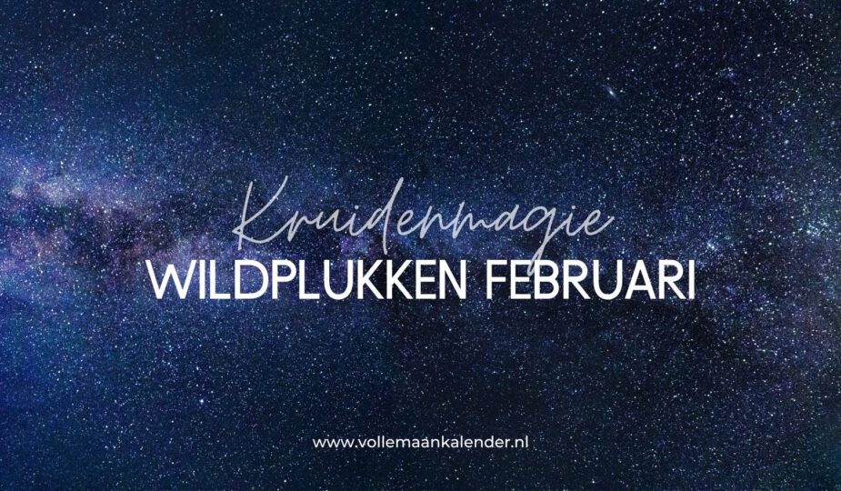 Wildplukken in februari