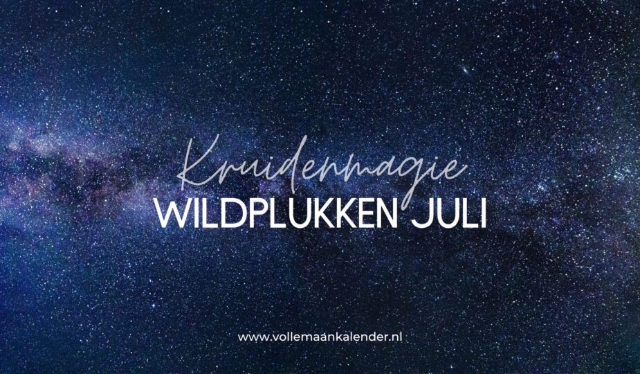 Kruidenmagie: wildplukken in juli