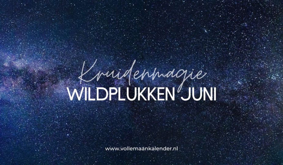 Wildplukken juni - Kruidenmagie - VolleMaanKalender.nl