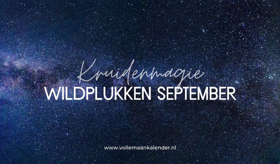 Wildplukken september - Kruidenmagie - VolleMaanKalender.nl