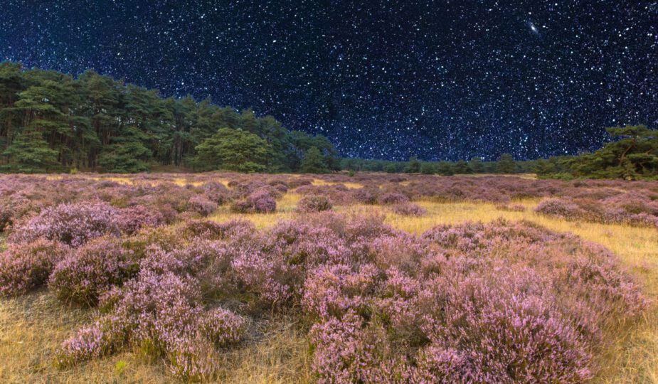 Duurzaam op vakantie in Nederland: koop je eigen stacaravan