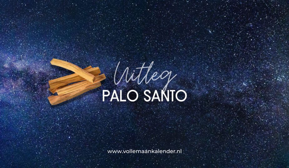 Wat is Palo Santo? Een uitleg
