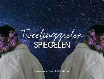 Tweelingzielen spiegelen