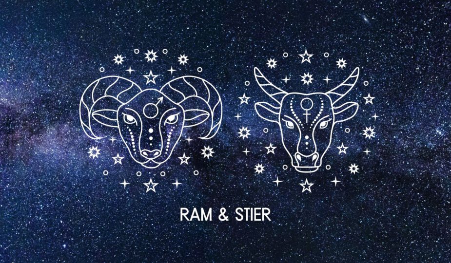Ram en Stier in de liefde