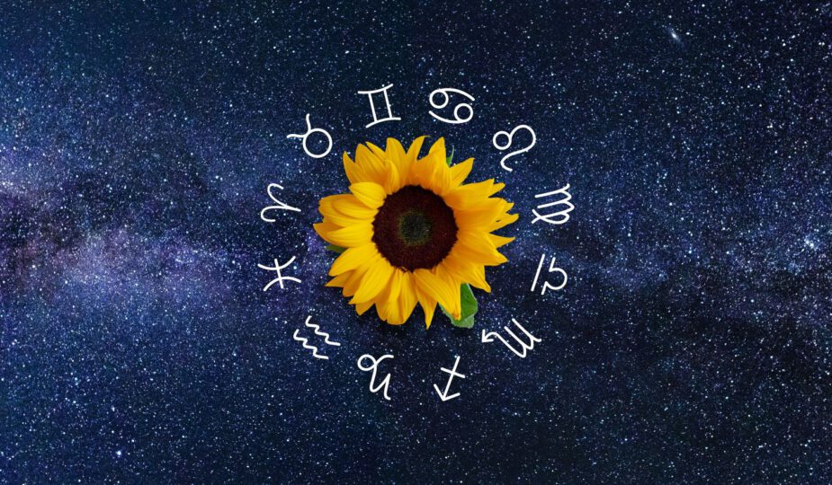 Deze bloem hoort bij jouw sterrenbeeld