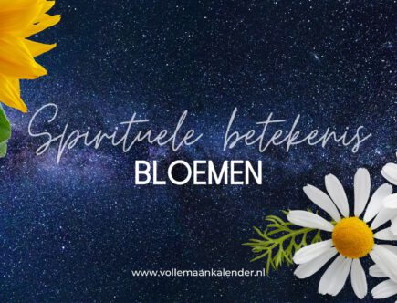 Spirituele betekenis bloemen (uitgebreide uitleg)