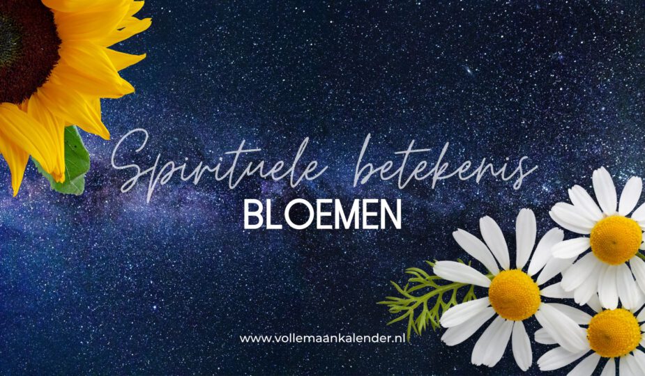Spirituele betekenis bloemen (uitgebreide uitleg)