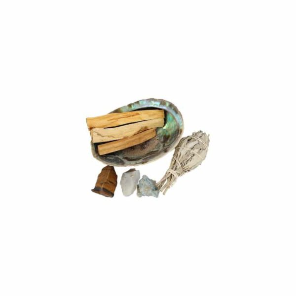 Abalone Succes Kit