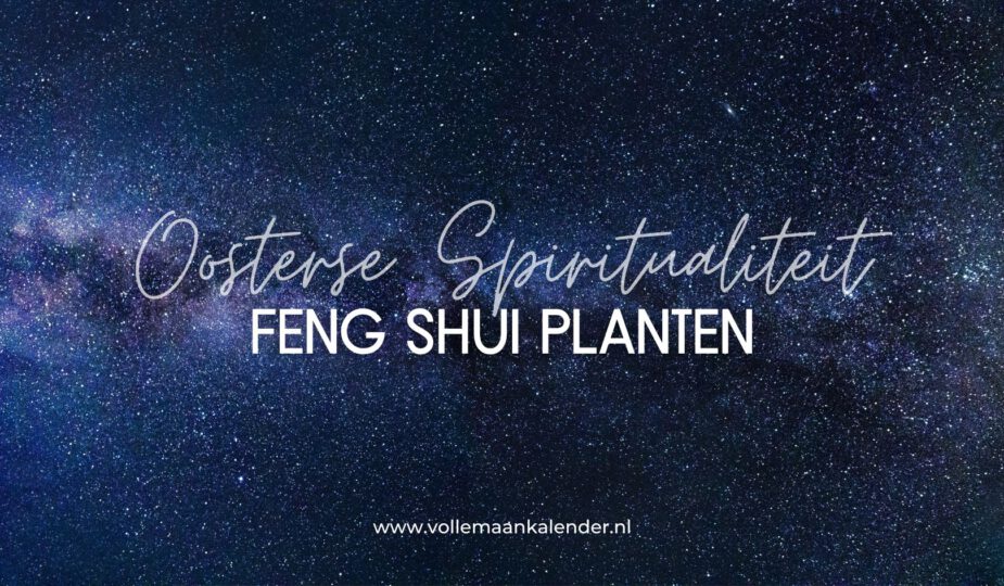 Feng Shui planten - Oosterse Spiritualiteit - VolleMaanKalender.nl