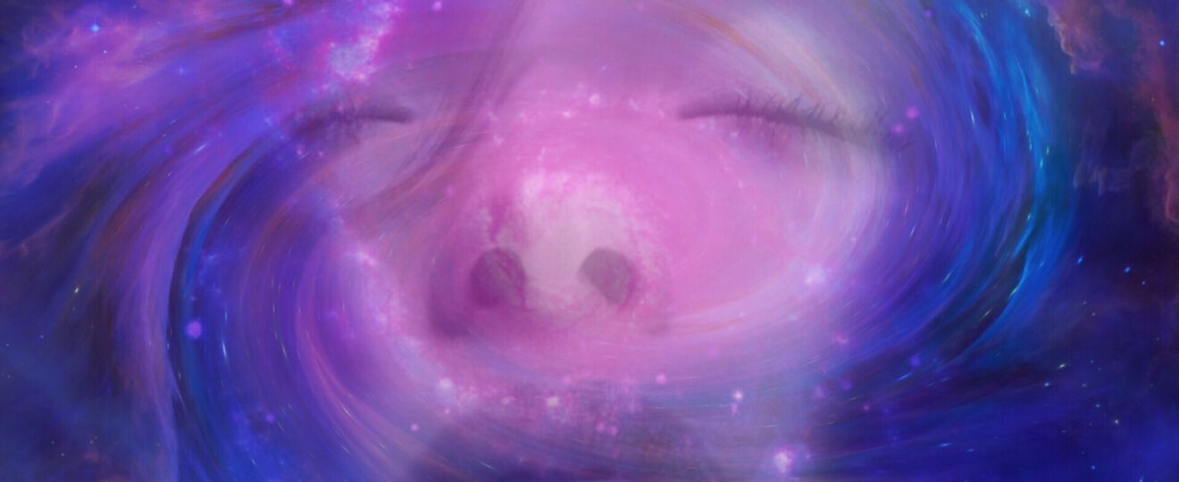 Leeuwenpoort 2023 voor tweelingzielen en zielsconnecties