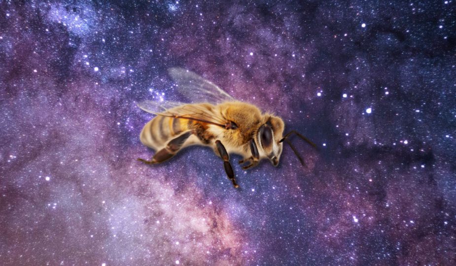 Spirituele betekenis bij