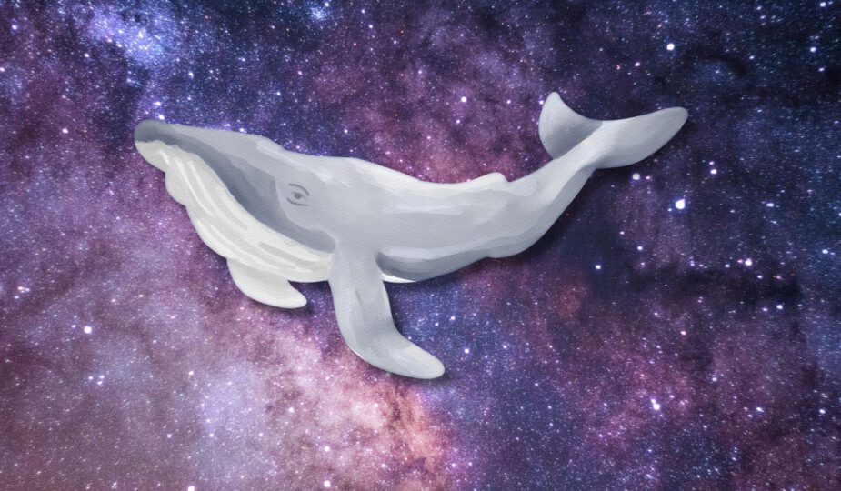 Spirituele betekenis walvis