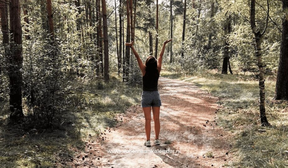 Meer rust en balans met de kracht van etherische oliën van bomen - VolleMaanKalender.nl