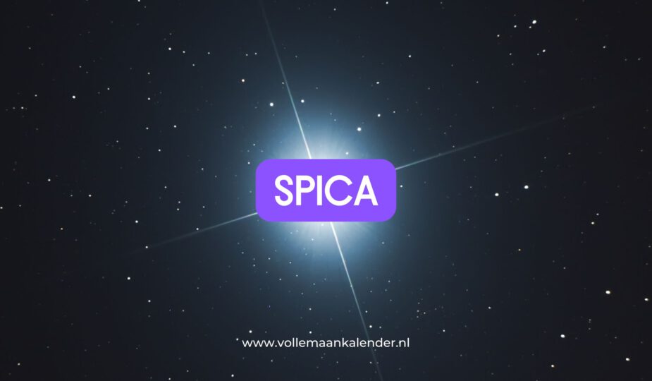 Spica