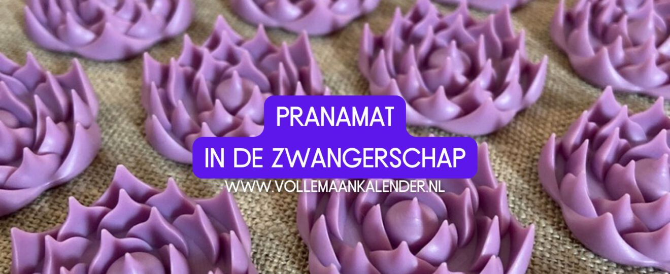 Pranamat gebruiken in de zwangerschap (ervaring zwanger)