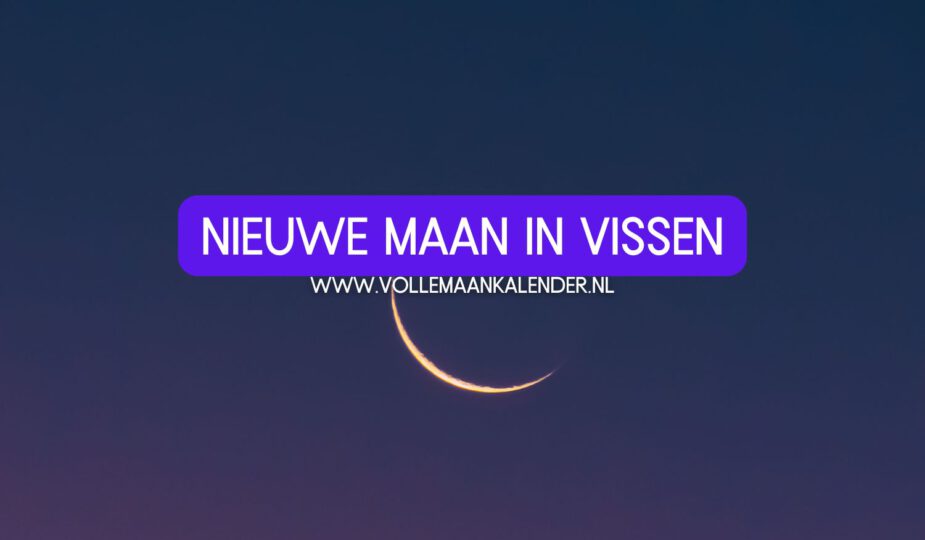 Nieuwe maan in Vissen februari 2025