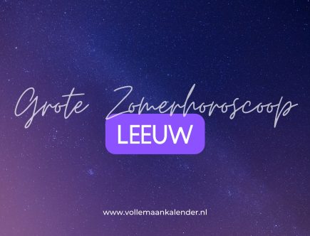 Leeuw Zomerhoroscoop
