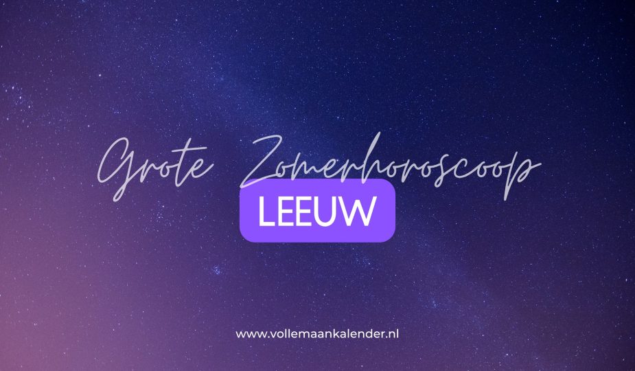 Leeuw Zomerhoroscoop