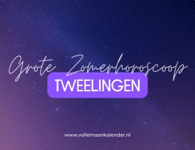 Zomerhoroscoop Tweelingen