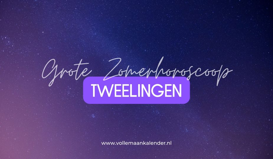Zomerhoroscoop Tweelingen