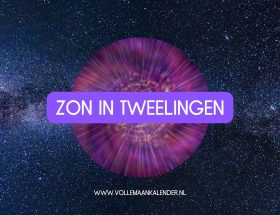 ZON IN TWEELINGEN