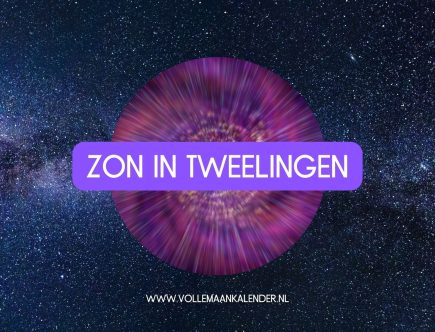 ZON IN TWEELINGEN