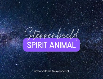 Dit is jouw spirit animal volgens je sterrenbeeld