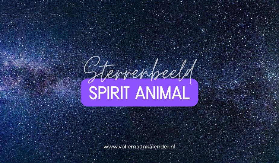 Dit is jouw spirit animal volgens je sterrenbeeld
