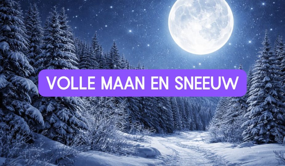 volle maan en sneeuw