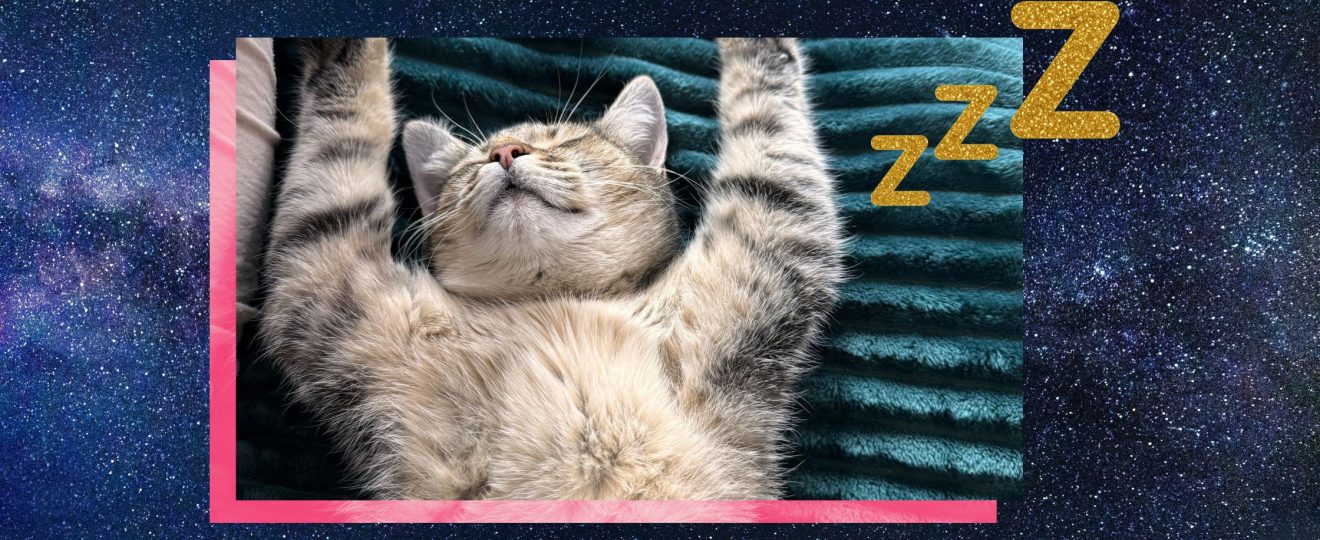 Waarom je vroeger beter sliep dan nu vollemaankalender